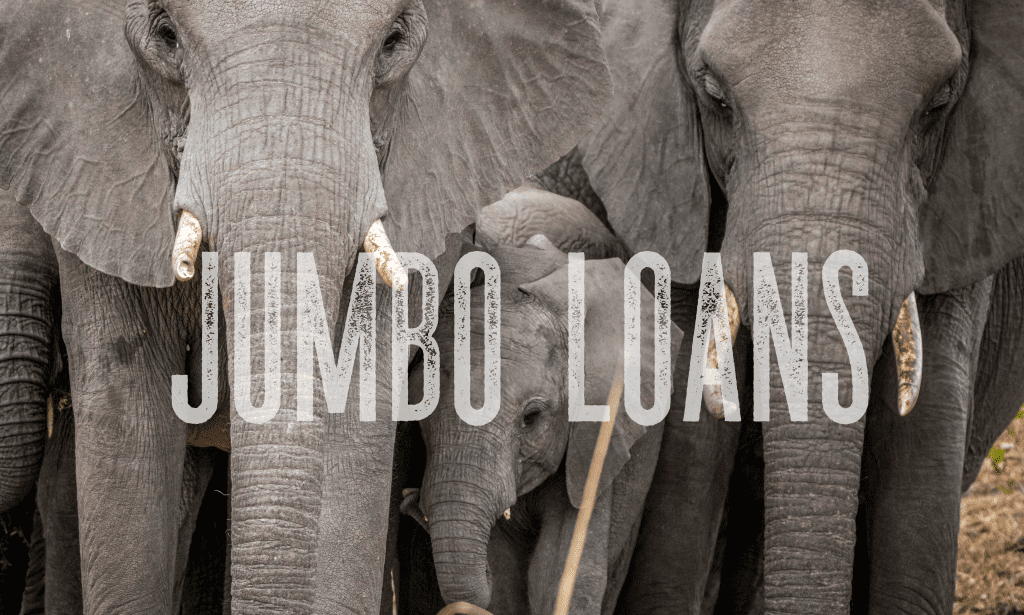 What is a Jumbo Loan? Bison Ventures