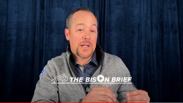 The Bison Brief