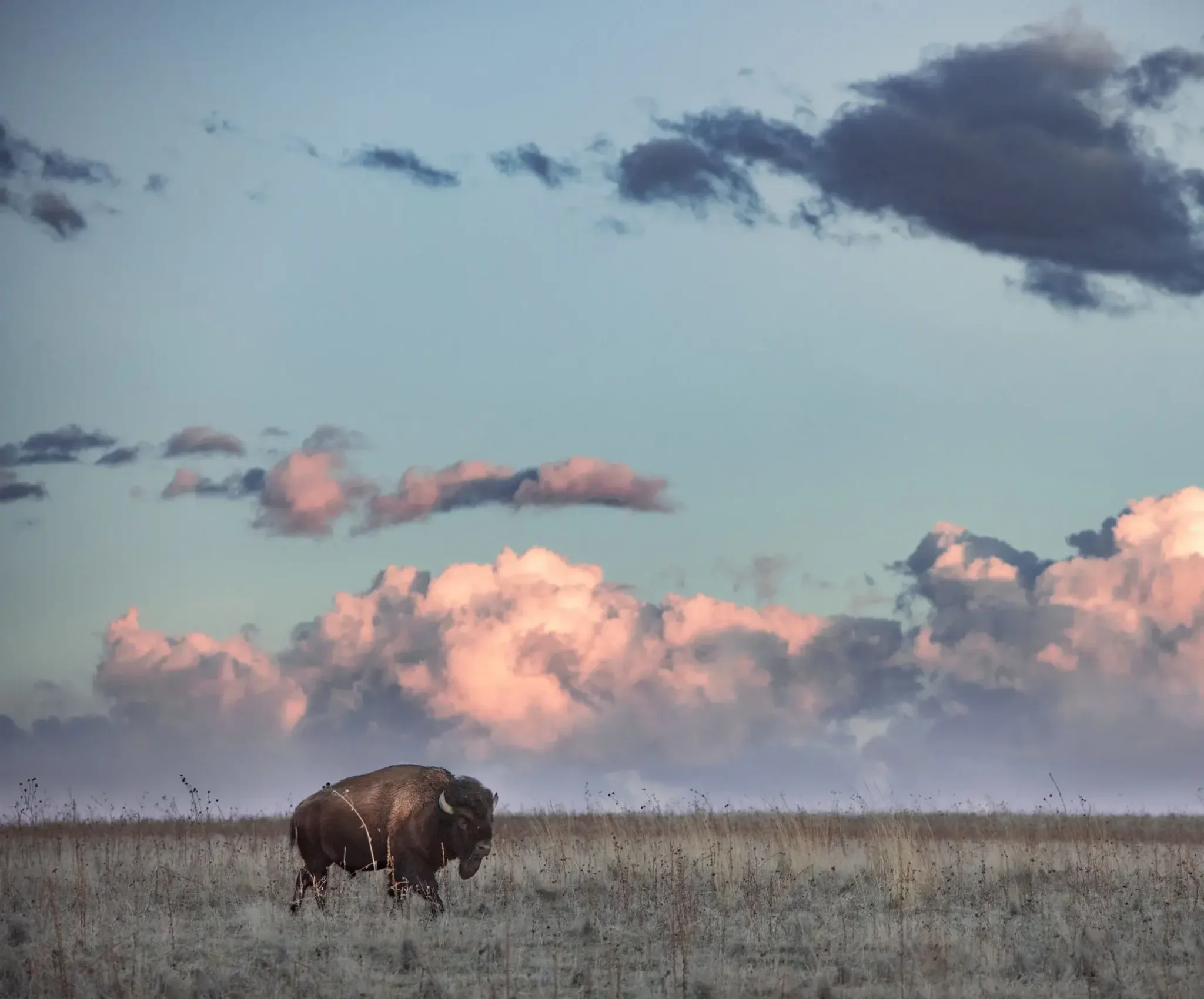 BISON VENTURES - Informed Mortgage Lending